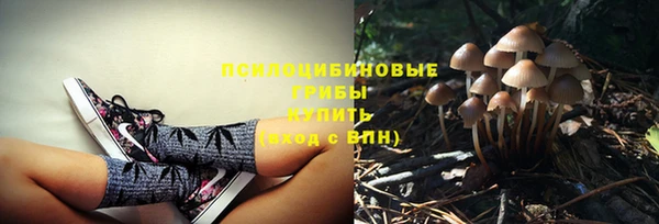 MESCALINE Абаза