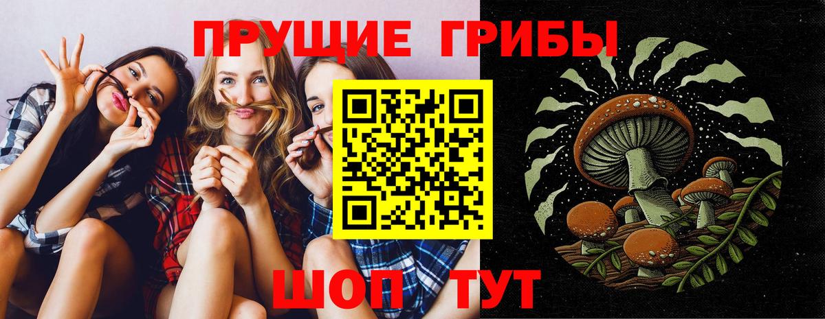 Галлюциногенные грибы MAGIC MUSHROOMS Чебаркуль