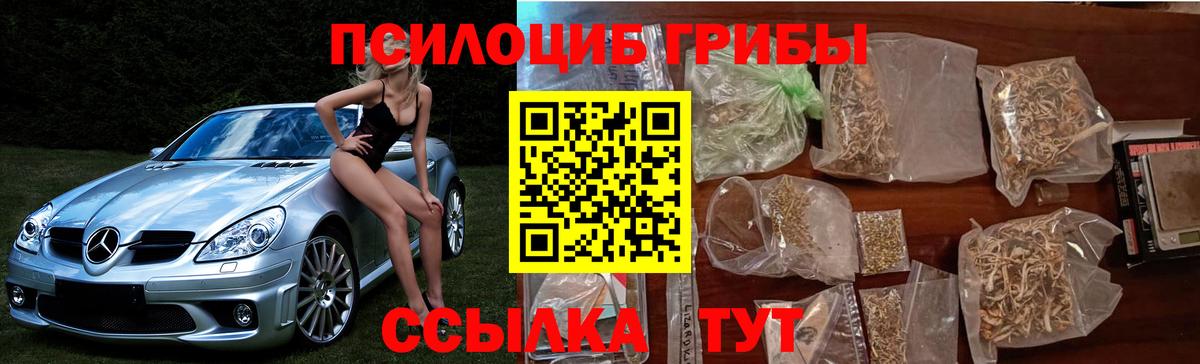 Чебаркуль  Псилоцибиновые грибы Psilocybe  Вход с VPN  Галлюциногенные грибы MAGIC MUSHROOMS 